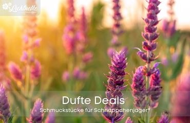 Dufte Deals