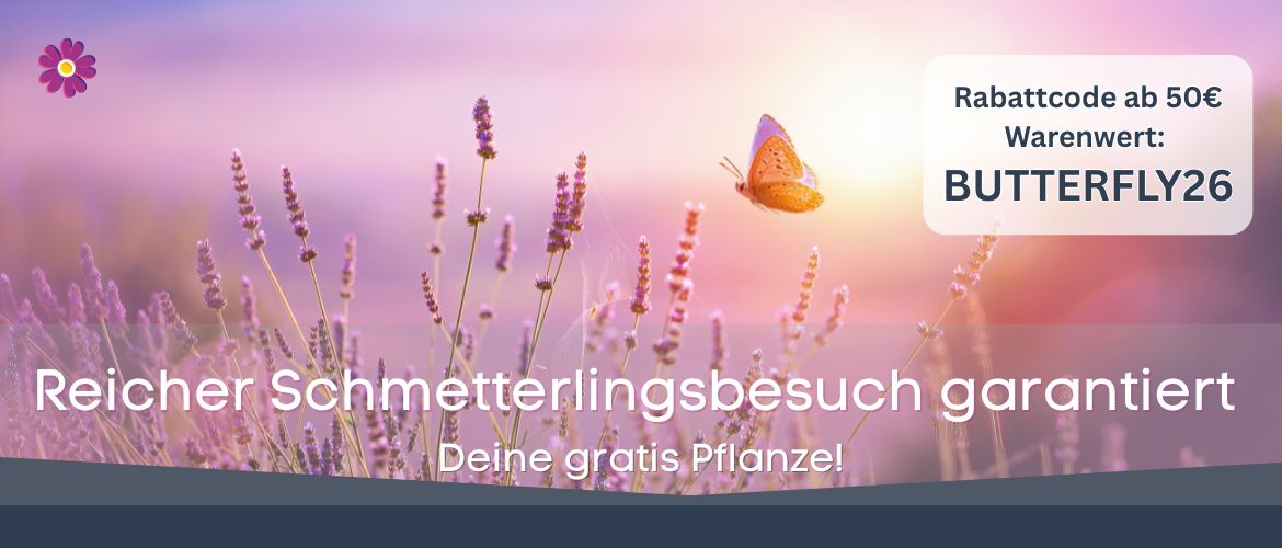 Aktion der Woche
