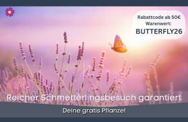 Aktion der Woche