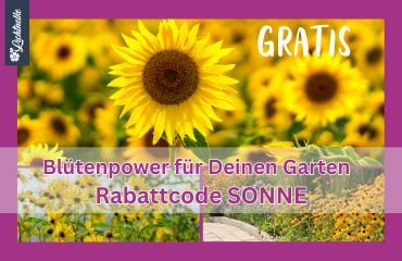 Aktion der Woche