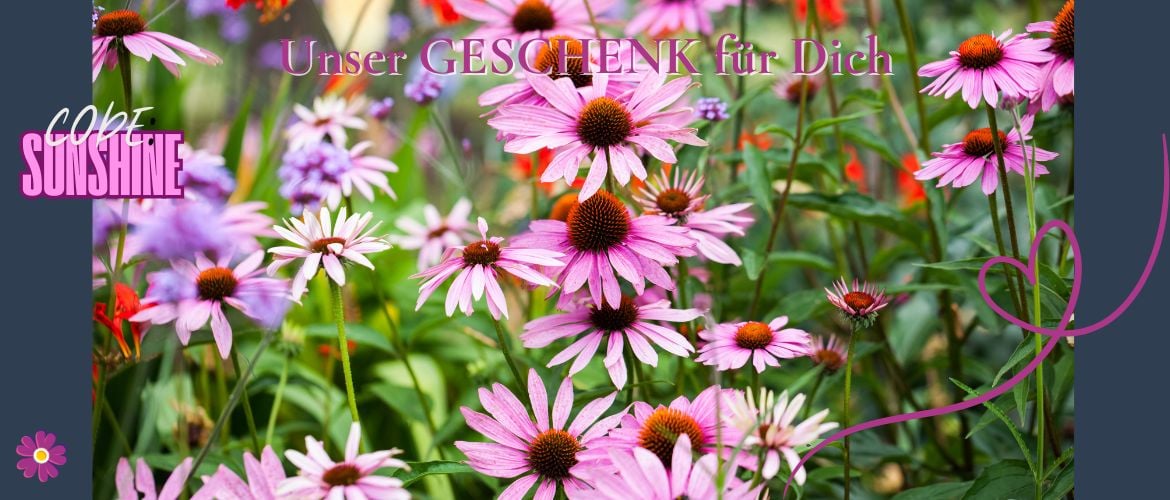 Aktion der Woche