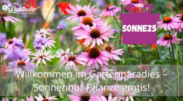 Aktion der Woche