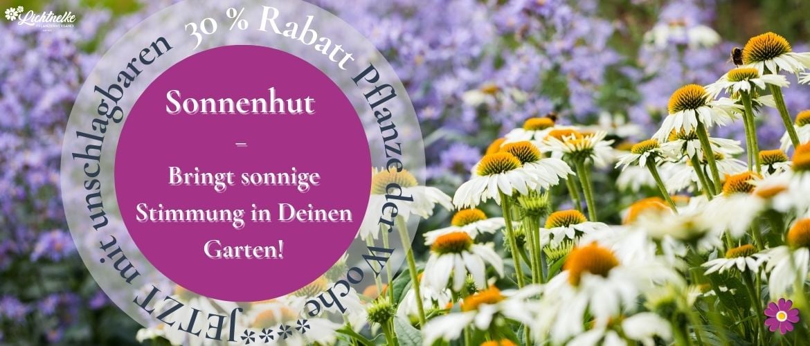 Pflanze der Woche