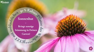Pflanze der Woche