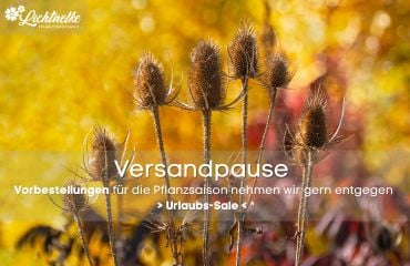 Winterpause