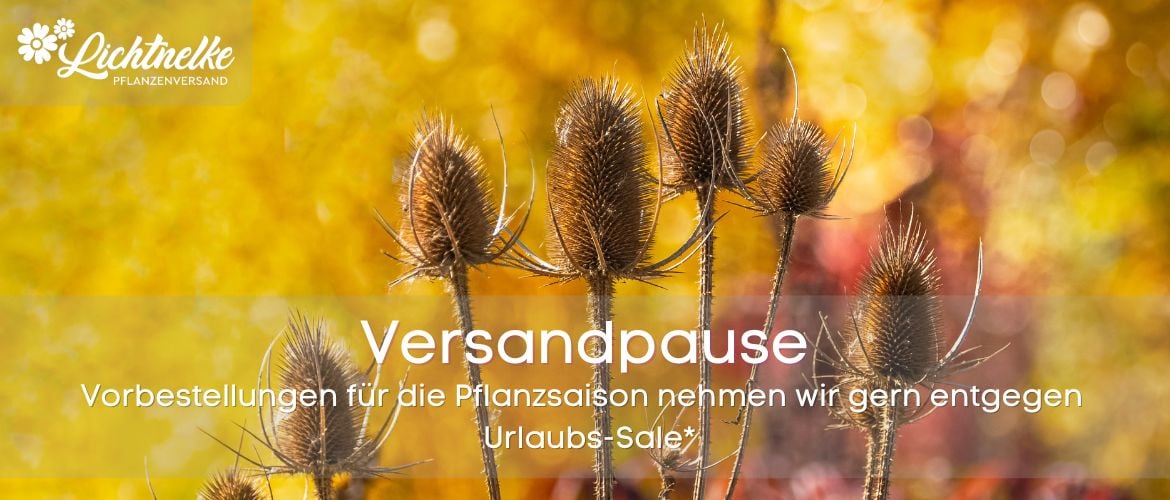 Winterpause