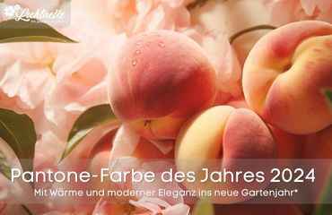 Pantone Farbe 2024 - Peach Fuzz