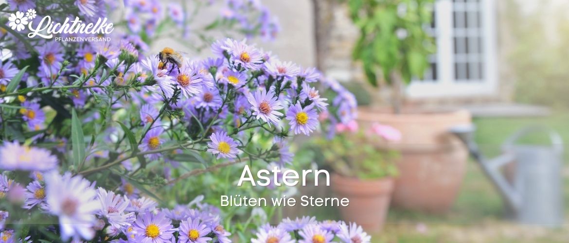 Astern