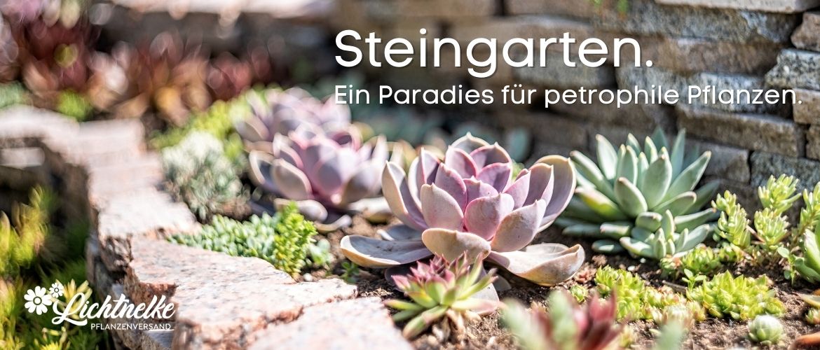 Steingarten