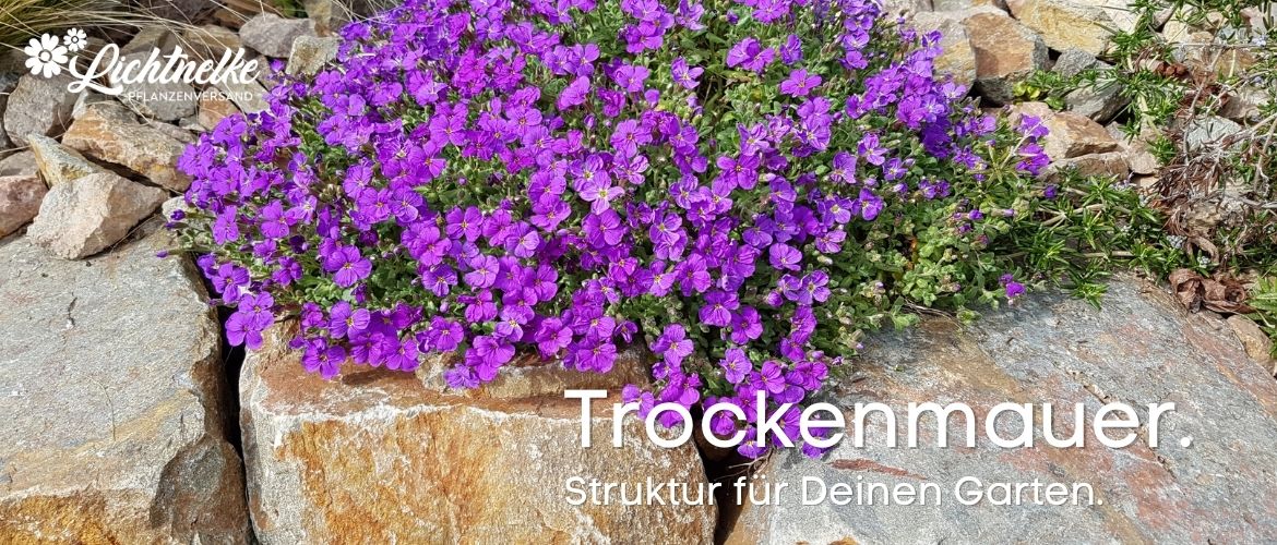 Trockenmauer Trockenmauer