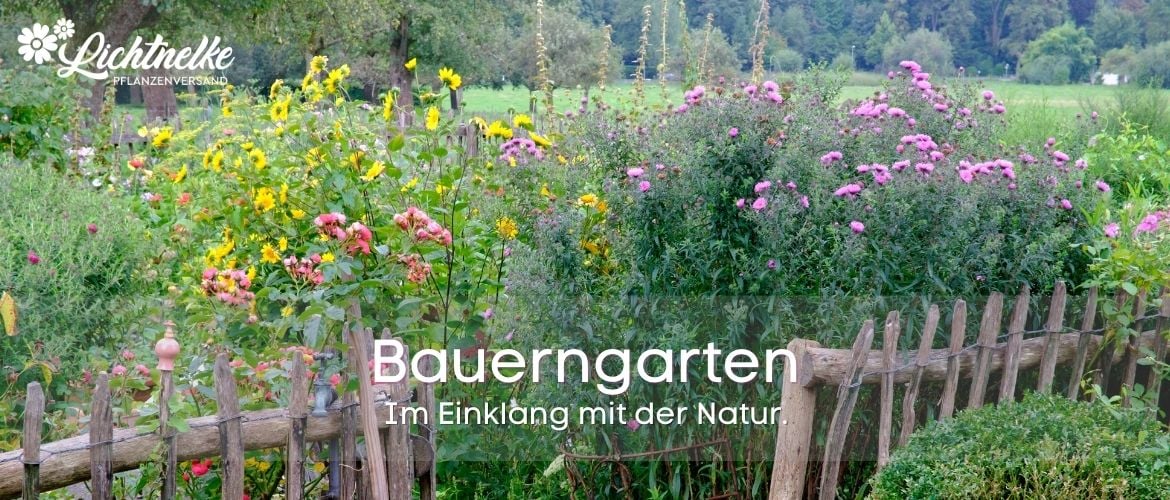 Bauerngarten