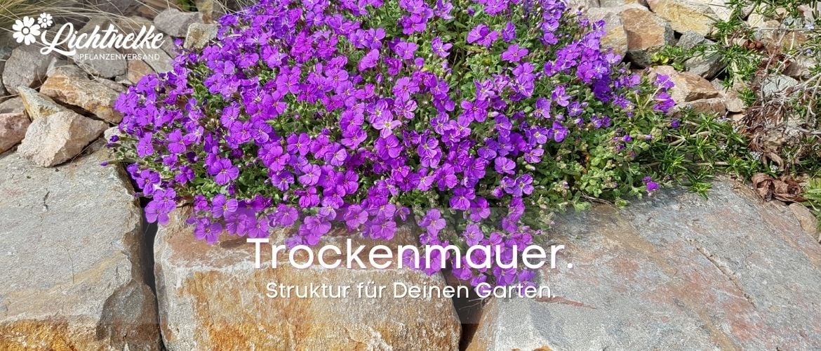 Trockenmauer