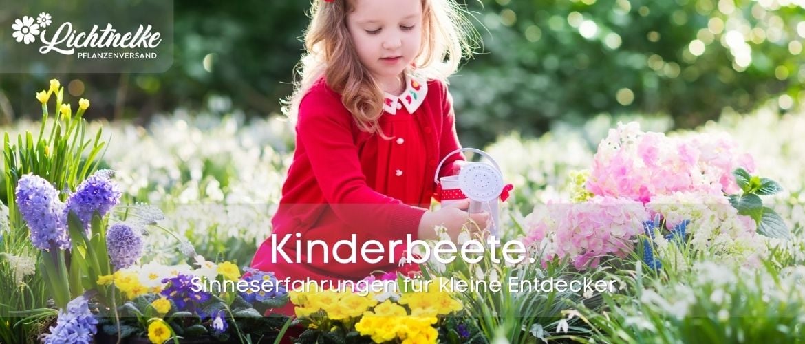 Kinderbeete