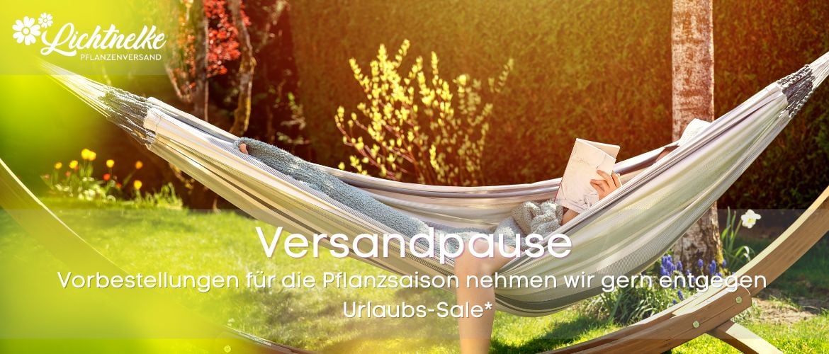 Aktion der Woche Aktion der Woche