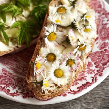 Gänseblümchen (Bellis perennis) 